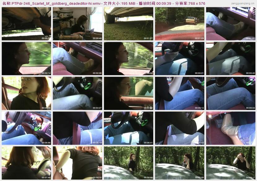 ptpdr-346_Scarlet_bf_goldberg_deadeditor
